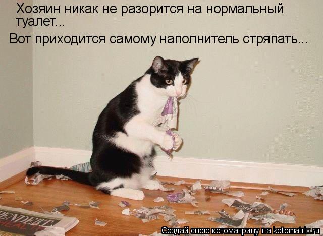 Котоматрица: Хозяин никак не разорится на нормальный  туалет... Вот приходится самому наполнитель стряпать...