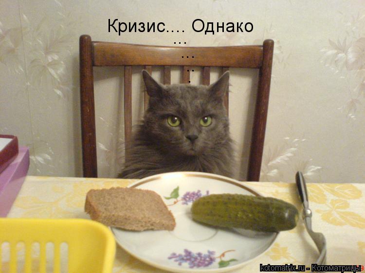 Кризис.... Однако ... ... .. .... Котоматрица: Кризис.... Однако ... ... .. .