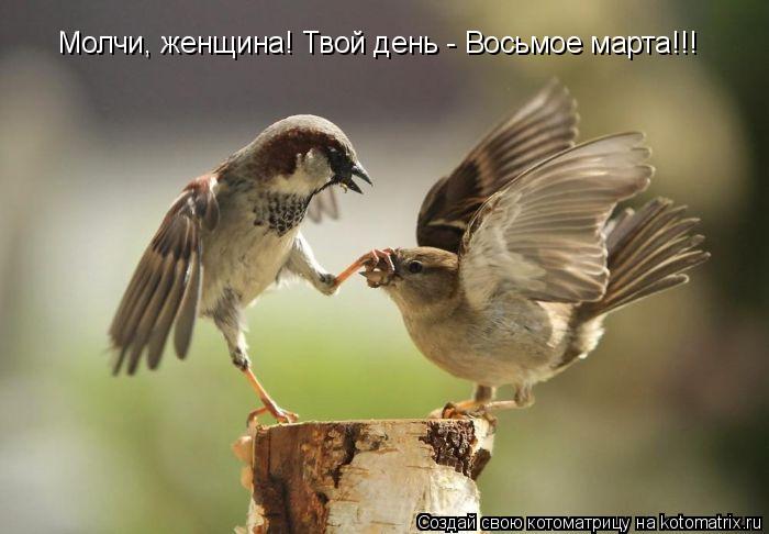 Молчи, женщина! Твой день - Восьмое марта!!!... Котоматрица: Молчи, женщина! Твой день - Восьмое марта!!!