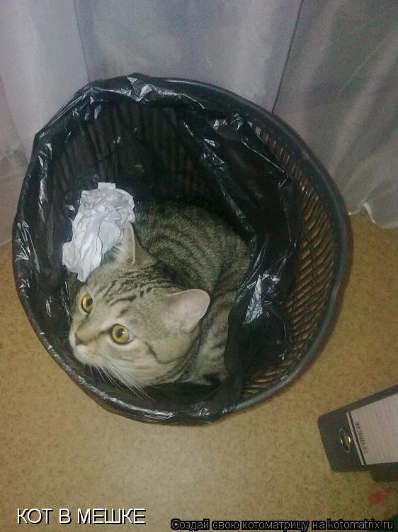 КОТ В МЕШКЕ... Котоматрица: КОТ В МЕШКЕ