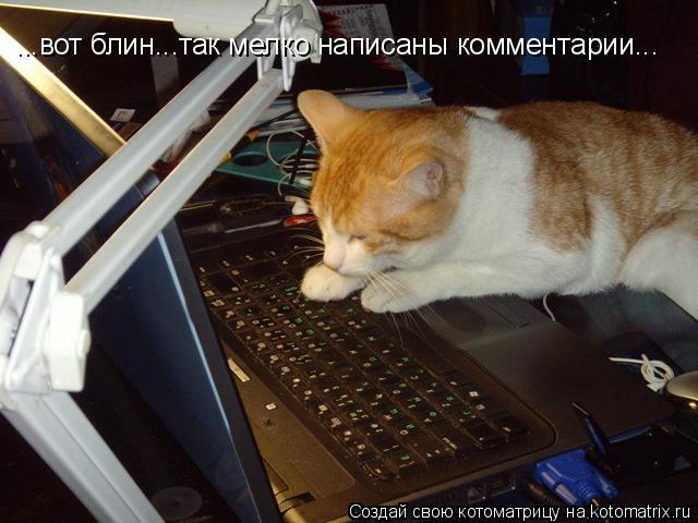 Котоматрица: ...вот блин...так мелко написаны комментарии...