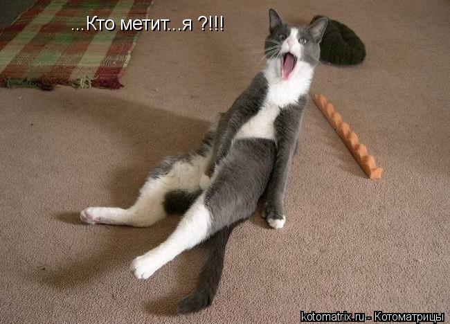 Котоматрица: ...Кто метит...я ?!!!