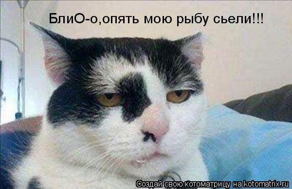Котоматрица: БлиО-о,опять мою рыбу сьели!!!