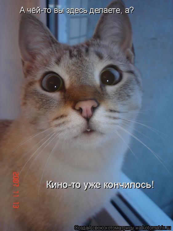 Котоматрица: А чёй-то вы здесь делаете, а? Кино-то уже кончилось!