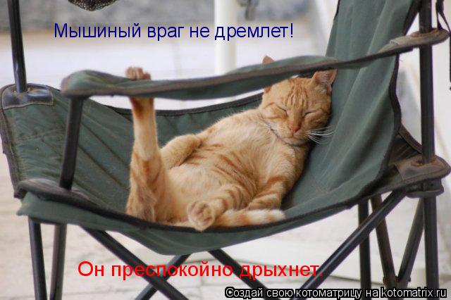 Мышиный враг не дремлет! Он преспокойно дрыхнет.... Котоматрица: Мышиный враг не дремлет! Он преспокойно дрыхнет.