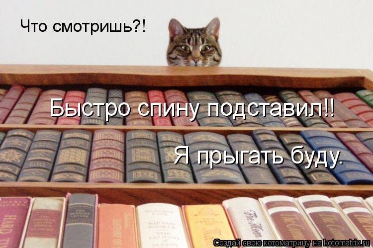 Я прыгать буду. Что смотришь?! Быстро спину подставил!!... Котоматрица: Я прыгать буду. Что смотришь?! Быстро спину подставил!!