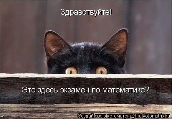 Здравствуйте! Это здесь экзамен по математике?... Котоматрица: Здравствуйте! Это здесь экзамен по математике?