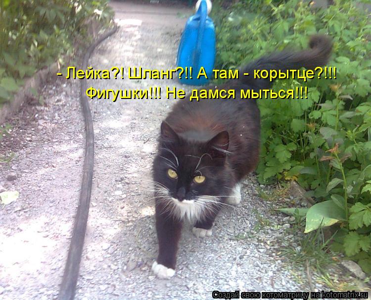 Котоматрица: - Лейка?! Шланг?!! А там - корытце?!!! Фигушки!!! Не дамся мыться!!!