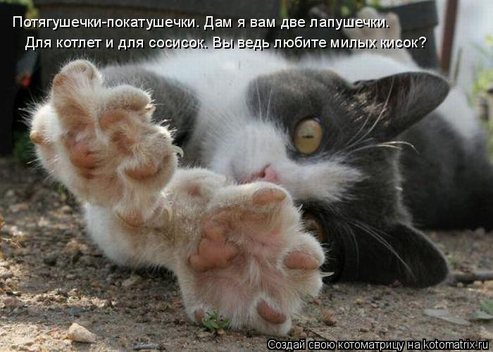 Котоматрица: Потягушечки-покатушечки. Дам я вам две лапушечки. Для котлет и для сосисок. Вы ведь любите милых кисок?