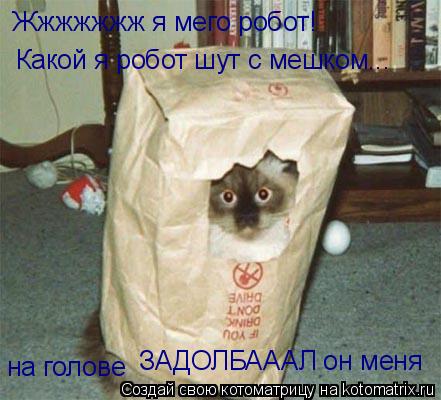 Жжжжжжж я мего робот! Какой я робот шут с мешком... на голове ЗАДОЛБАААЛ он меня... Котоматрица: Жжжжжжж я мего робот! Какой я робот шут с мешком... на голове ЗАДОЛБАААЛ он меня
