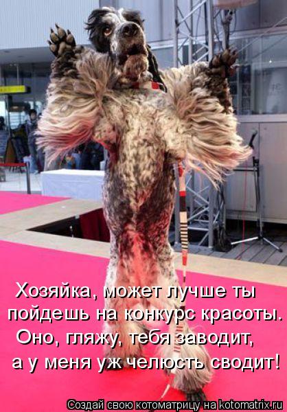 Хозяйка, может лучше ты пойдешь на конкурс красоты. Оно, гляжу, тебя заводит, а у меня уж челюсть сво... Котоматрица: Хозяйка, может лучше ты пойдешь на конкурс красоты. Оно, гляжу, тебя заводит, а у меня уж челюсть сводит!