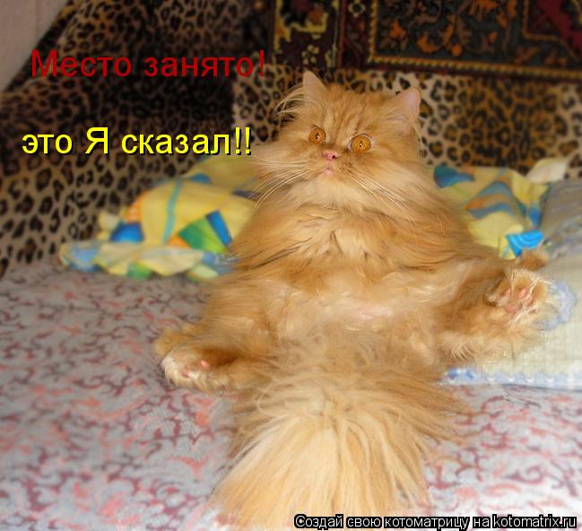 Место занято! это Я сказал!!... Котоматрица: Место занято! это Я сказал!!