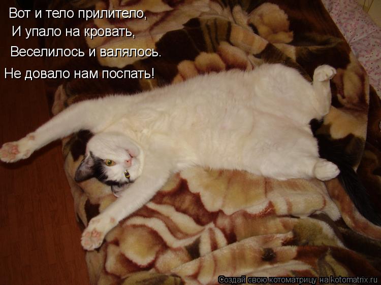 Вот и тело прилитело, И упало на кровать, Веселилось и валялось. Не довало нам поспать!... Котоматрица: Вот и тело прилитело, И упало на кровать, Веселилось и валялось. Не довало нам поспать!