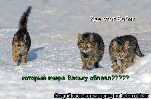 Хде этот Бобик который вчера Ваську облаял?????... Котоматрица: Хде этот Бобик который вчера Ваську облаял?????