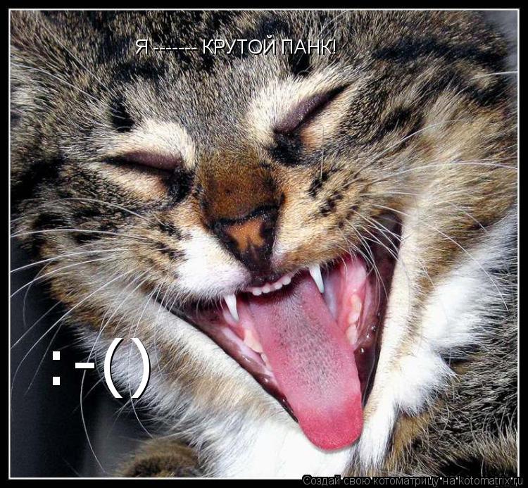 Я ------- КРУТОЙ ПАНК! :-()... Котоматрица: Я ------- КРУТОЙ ПАНК! :-()