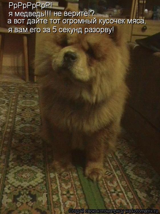РрРрРрРрР! я медведь!!! не верите!? я вам его за 5 секунд разорву! а вот дайте тот огромный кусочек м... Котоматрица: РрРрРрРрР! я медведь!!! не верите!? я вам его за 5 секунд разорву! а вот дайте тот огромный кусочек мяса,