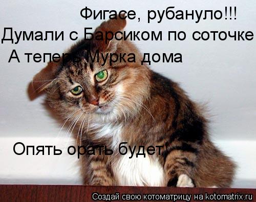 Фигасе, рубануло!!! Думали с Барсиком по соточке А теперь Мурка дома Опять орать будет!... Котоматрица: Фигасе, рубануло!!! Думали с Барсиком по соточке А теперь Мурка дома Опять орать будет!