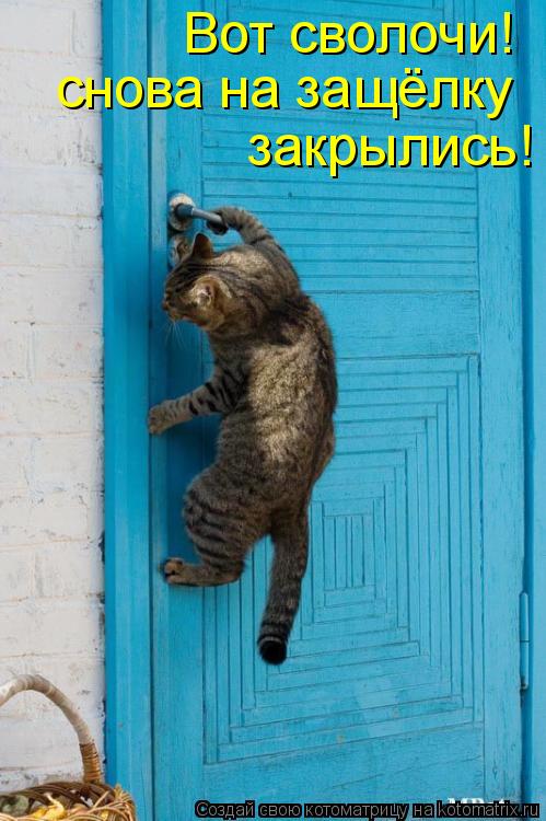 Вот сволочи! снова на защёлку закрылись!... Котоматрица: Вот сволочи! снова на защёлку закрылись!