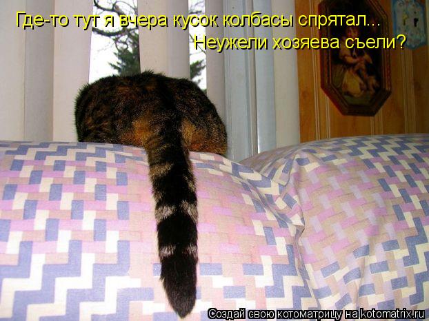 Где-то тут я вчера кусок колбасы спрятал... Неужели хозяева съели?... Котоматрица: Где-то тут я вчера кусок колбасы спрятал... Неужели хозяева съели?