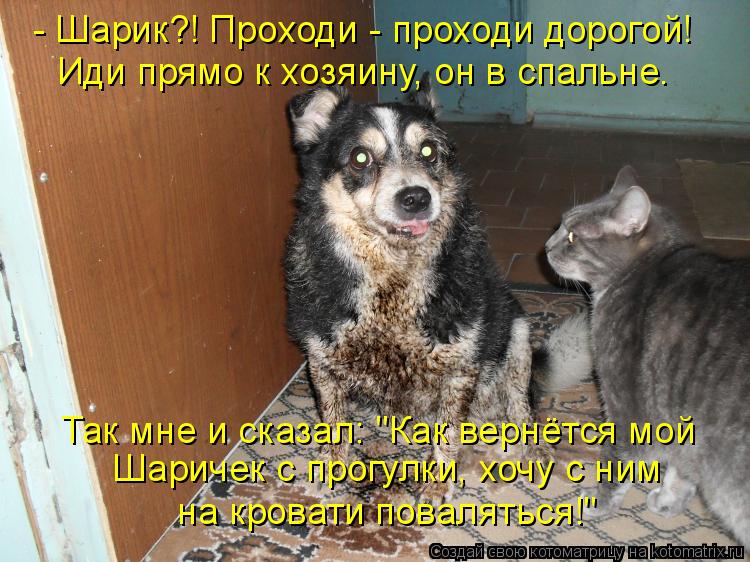 Котоматрица: - Шарик?! Проходи - проходи дорогой! Иди прямо к хозяину, он в спальне. Так мне и сказал: "Как вернётся мой Шаричек с прогулки, хочу с ним  на кро