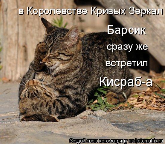 в Королевстве Кривых Зеркал Барсик сразу же встретил Кисраб-а... Котоматрица: в Королевстве Кривых Зеркал Барсик сразу же встретил Кисраб-а