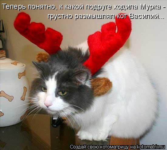 Теперь понятно, к какой подруге ходила Мурка - грустно размышлял кот Василий...... Котоматрица: Теперь понятно, к какой подруге ходила Мурка - грустно размышлял кот Василий...