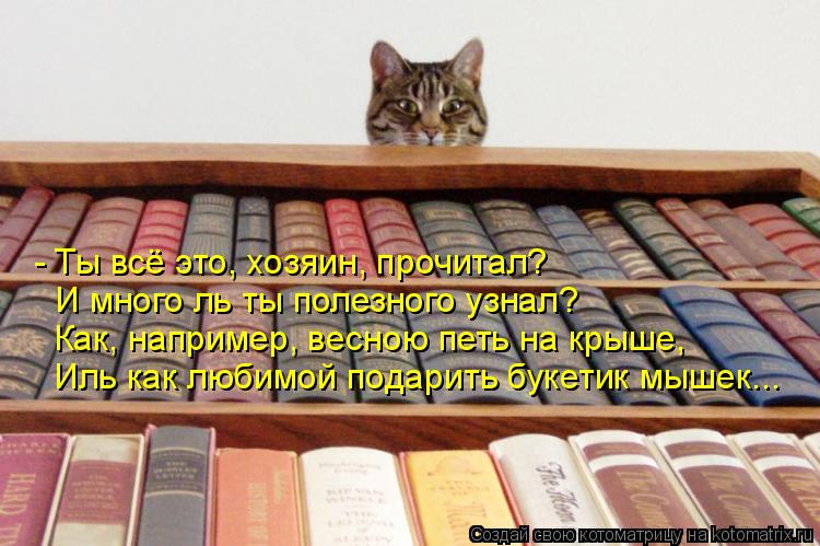 - Ты всё это, хозяин, прочитал? И много ль ты полезного узнал? Как, например, весною петь на крыше, И... Котоматрица: - Ты всё это, хозяин, прочитал? И много ль ты полезного узнал? Как, например, весною петь на крыше, Иль как любимой подарить букетик мышек...