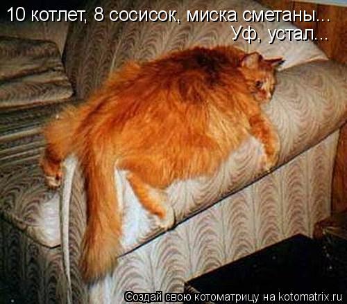 10 котлет, 8 сосисок, миска сметаны... Уф, устал...... Котоматрица: 10 котлет, 8 сосисок, миска сметаны... Уф, устал...