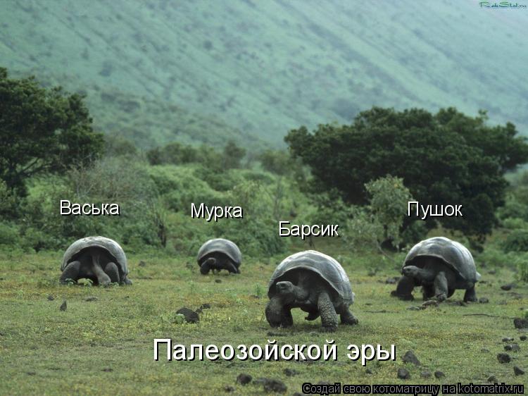 Васька Мурка Барсик Пушок Палеозойской эры... Котоматрица: Васька Мурка Барсик Пушок Палеозойской эры