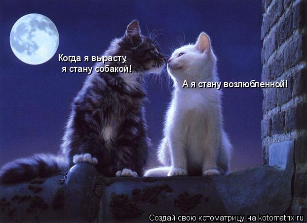 Когда я вырасту, я стану собакой! А я стану возлюбленной!... Котоматрица: Когда я вырасту, я стану собакой! А я стану возлюбленной!