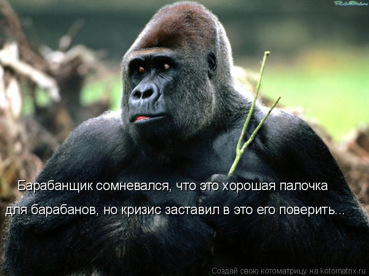 Барабанщик сомневался, что это хорошая палочка для барабанов, но кризис заставил в это его поверить..... Котоматрица: Барабанщик сомневался, что это хорошая палочка для барабанов, но кризис заставил в это его поверить...