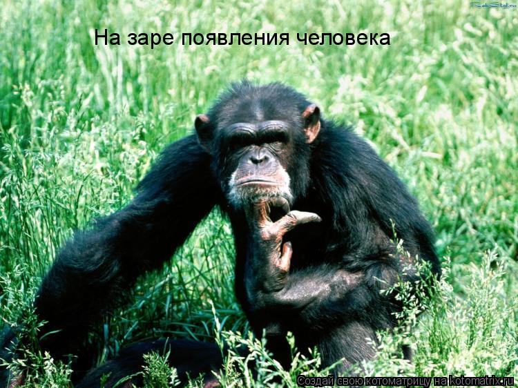 На заре появления человека... Котоматрица: На заре появления человека