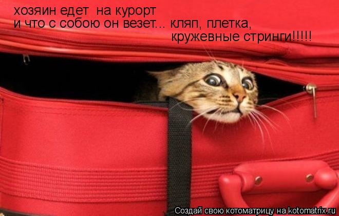хозяин едет на курорт и что с собою он везет... кляп, плетка, кружевные стринги!!!!!... Котоматрица: хозяин едет на курорт и что с собою он везет... кляп, плетка, кружевные стринги!!!!!
