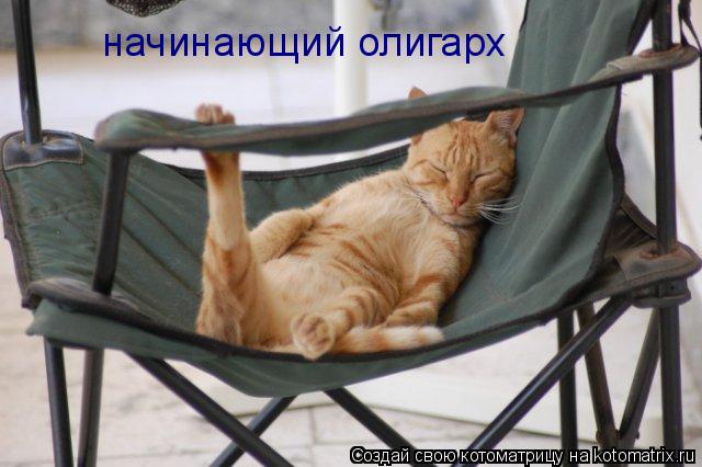 начинающий олигарх... Котоматрица: начинающий олигарх