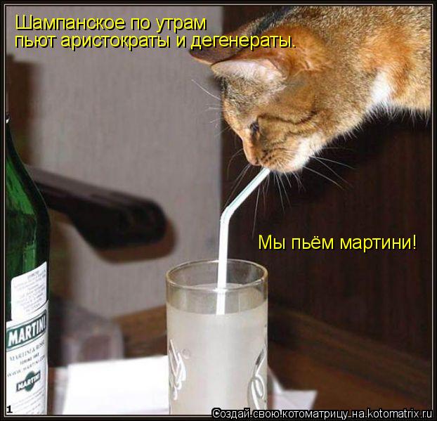 Шампанское по утрам пьют аристократы и дегенераты. Мы пьём мартини!... Котоматрица: Шампанское по утрам пьют аристократы и дегенераты. Мы пьём мартини!