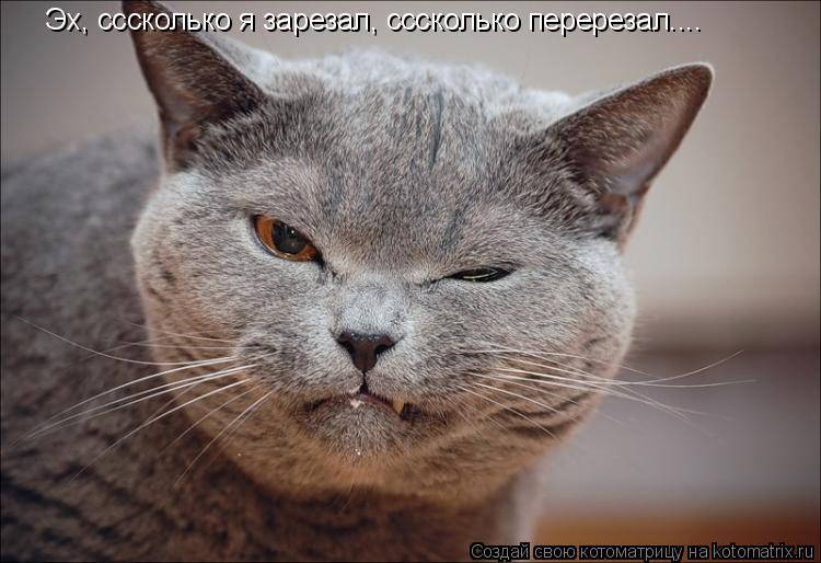 Эх, сссколько я зарезал, сссколько перерезал....... Котоматрица: Эх, сссколько я зарезал, сссколько перерезал....