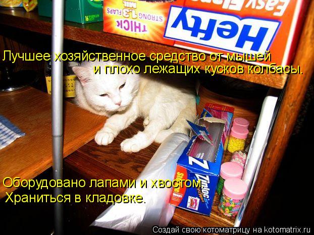 Лучшее хозяйственное средство от мышей и плохо лежащих кусков колбасы. Оборудовано лапами и хвостом. ... Котоматрица: Лучшее хозяйственное средство от мышей и плохо лежащих кусков колбасы. Оборудовано лапами и хвостом. Храниться в кладовке.