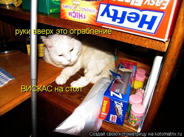 руки вверх это ограбление ВИСКАС на стол... Котоматрица: руки вверх это ограбление ВИСКАС на стол