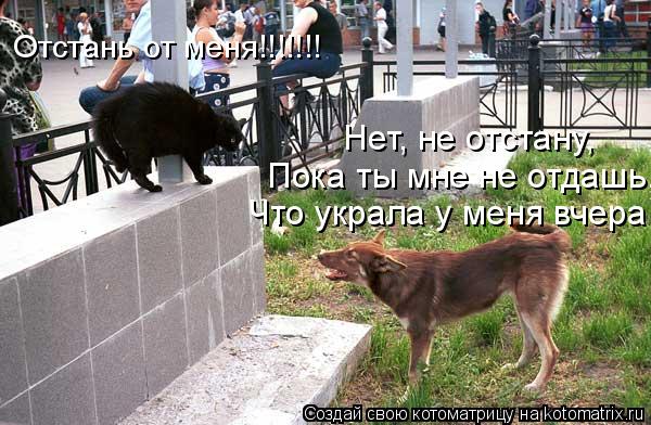 Отстань от меня!!!!!!! Нет, не отстану, Пока ты мне не отдашь, Что украла у меня вчера!... Котоматрица: Отстань от меня!!!!!!! Нет, не отстану, Пока ты мне не отдашь, Что украла у меня вчера!