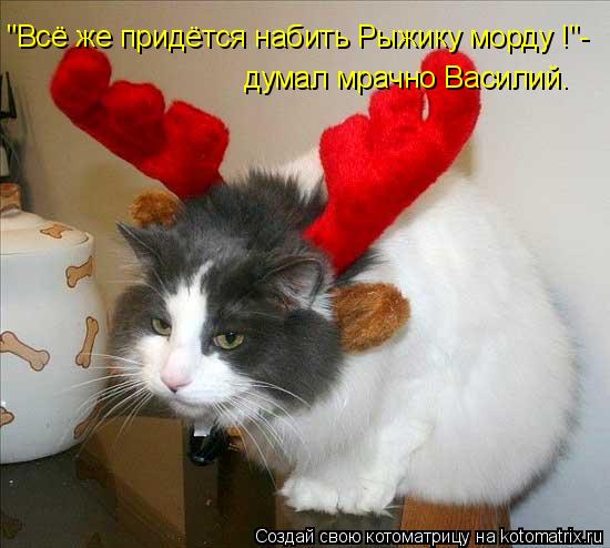 Котоматрица: "Всё же придётся набить Рыжику морду !"- думал мрачно Василий.