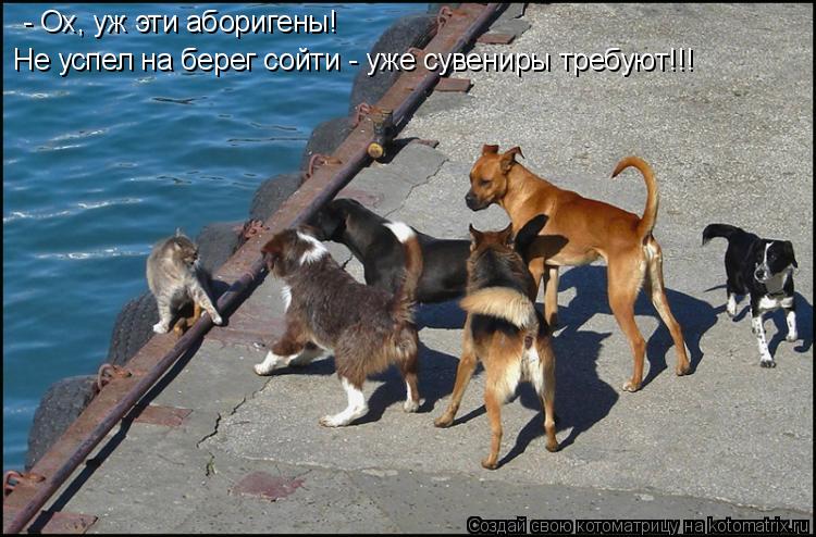 - Ох, уж эти аборигены! Не успел на берег сойти - уже сувениры требуют!!!... Котоматрица: - Ох, уж эти аборигены! Не успел на берег сойти - уже сувениры требуют!!!