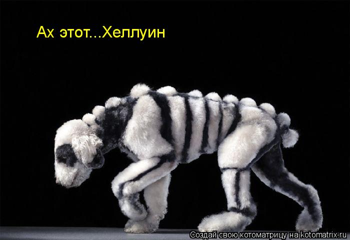 Ах этот...Хеллуин... Котоматрица: Ах этот...Хеллуин