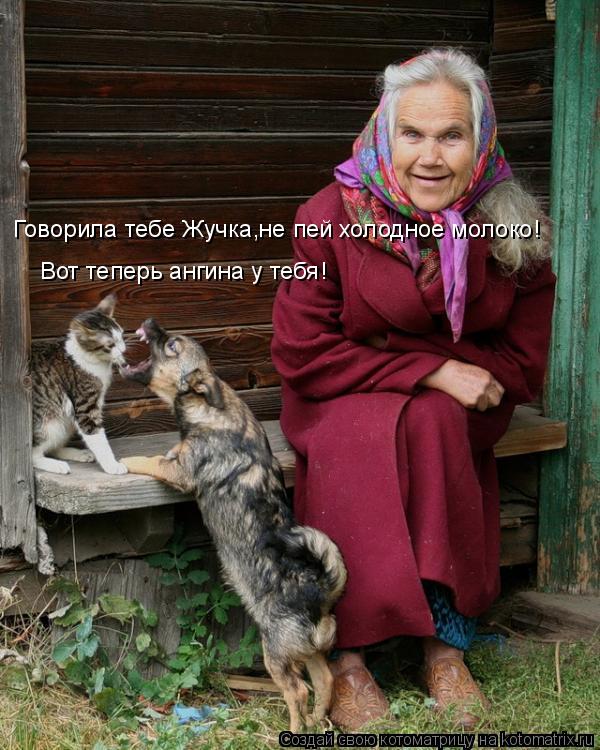 Котоматрица: Говорила тебе Жучка,не пей холодное молоко! Вот теперь ангина у тебя!