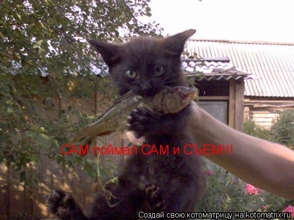 Котоматрица: САМ поймал САМ и СЪЕМ!!!