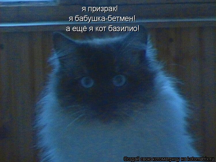 Котоматрица: я призрак! я бабушка-бетмен! а ещё я кот базилио!