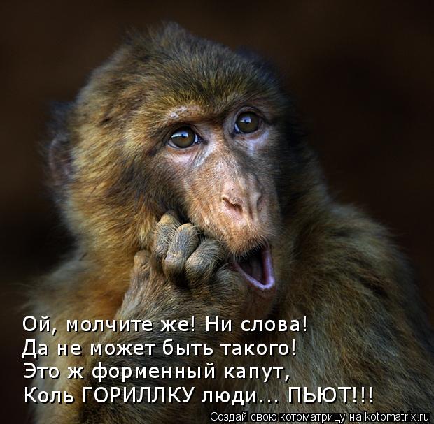 Ой, молчите же! Ни слова! Да не может быть такого! Это ж форменный капут, Коль ГОРИЛЛКУ люди... ПЬЮТ!... Котоматрица: Ой, молчите же! Ни слова! Да не может быть такого! Это ж форменный капут, Коль ГОРИЛЛКУ люди... ПЬЮТ!!!