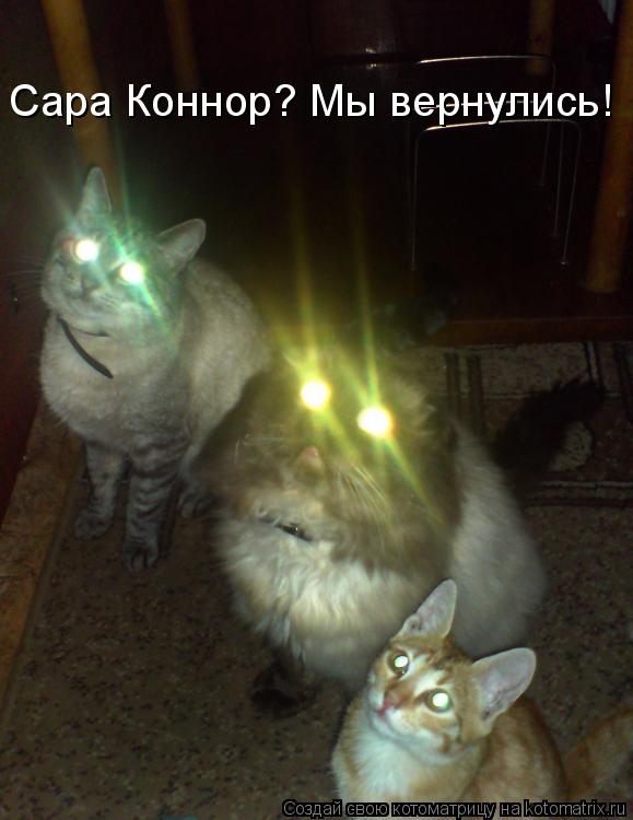 Сара Коннор? Мы вернулись!... Котоматрица: Сара Коннор? Мы вернулись!
