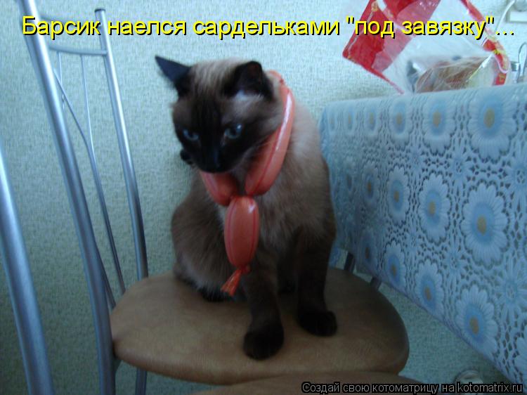 Барсик наелся сардельками "под завязку"...... Котоматрица: Барсик наелся сардельками "под завязку"...
