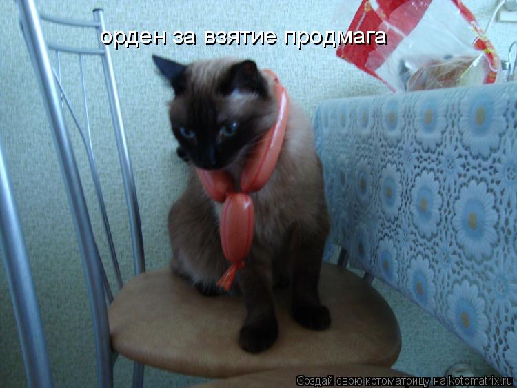 орден за взятие продмага... Котоматрица: орден за взятие продмага