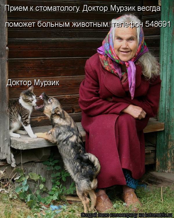 Котоматрица: Прием к стоматологу. Доктор Мурзик весгда поможет больным животным. телефон 548691 Доктор Мурзик